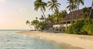 Velaa Private Island: A Luxurious Summer Destination