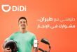 دي دي طيران