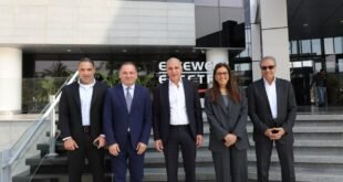 الذكاء الاصطناعي المؤسسي