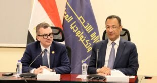 التحول الرقمي في مصر