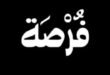 الذكاء الاصطناعي