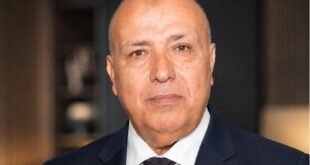 المالية والصناعية المصرية