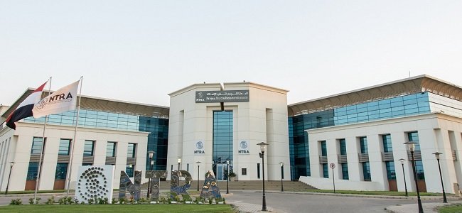 عودة خدمة أرقامي عبر My NTRA بحل مؤقت