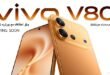 vivo V80