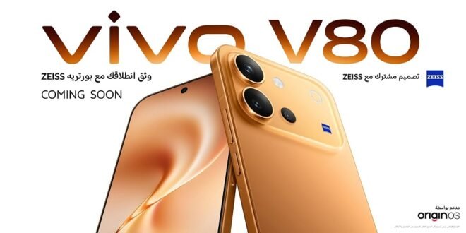 vivo V80 Egypt